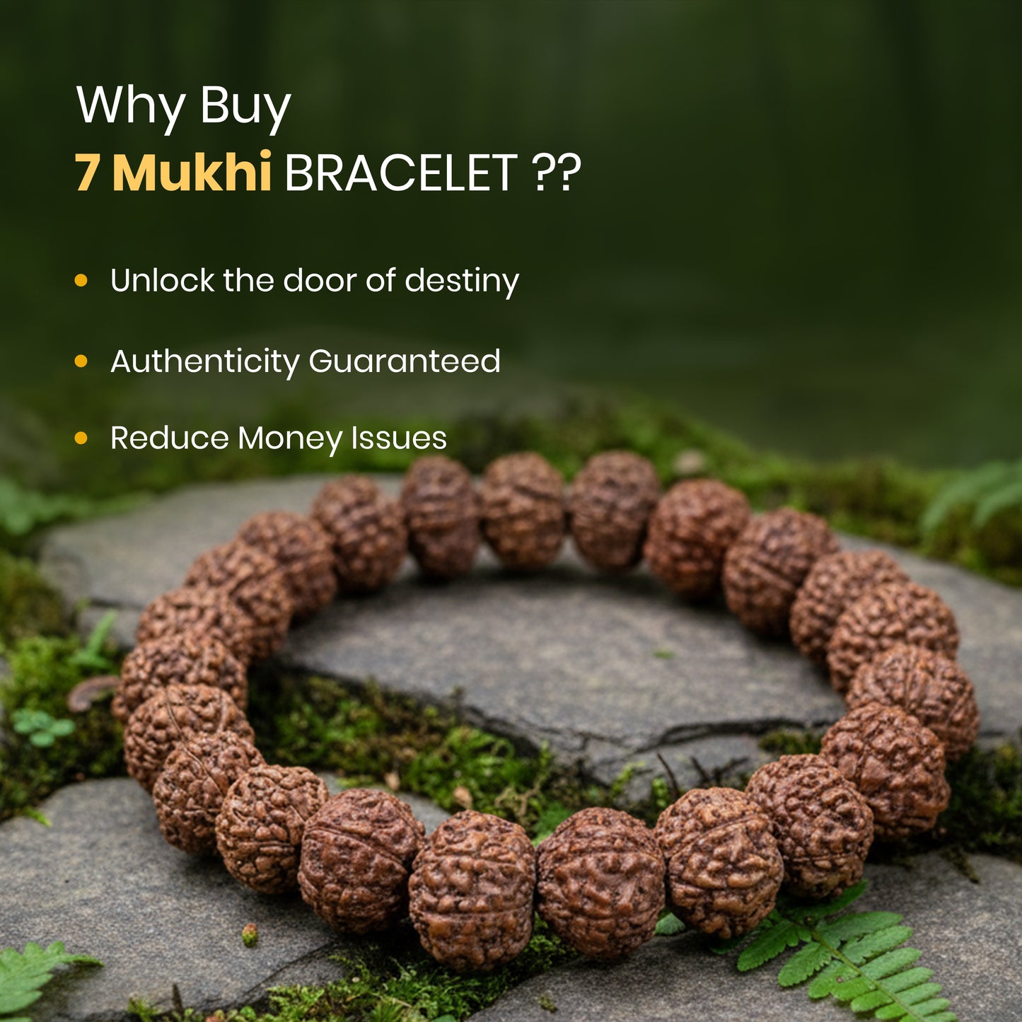 Siddh 7 Mukhi Rudraksh Bracelet