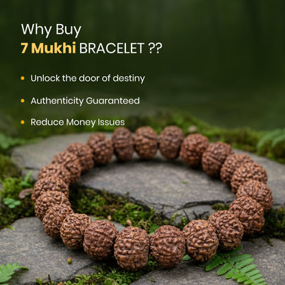 Siddh 7 Mukhi Rudraksh Bracelet
