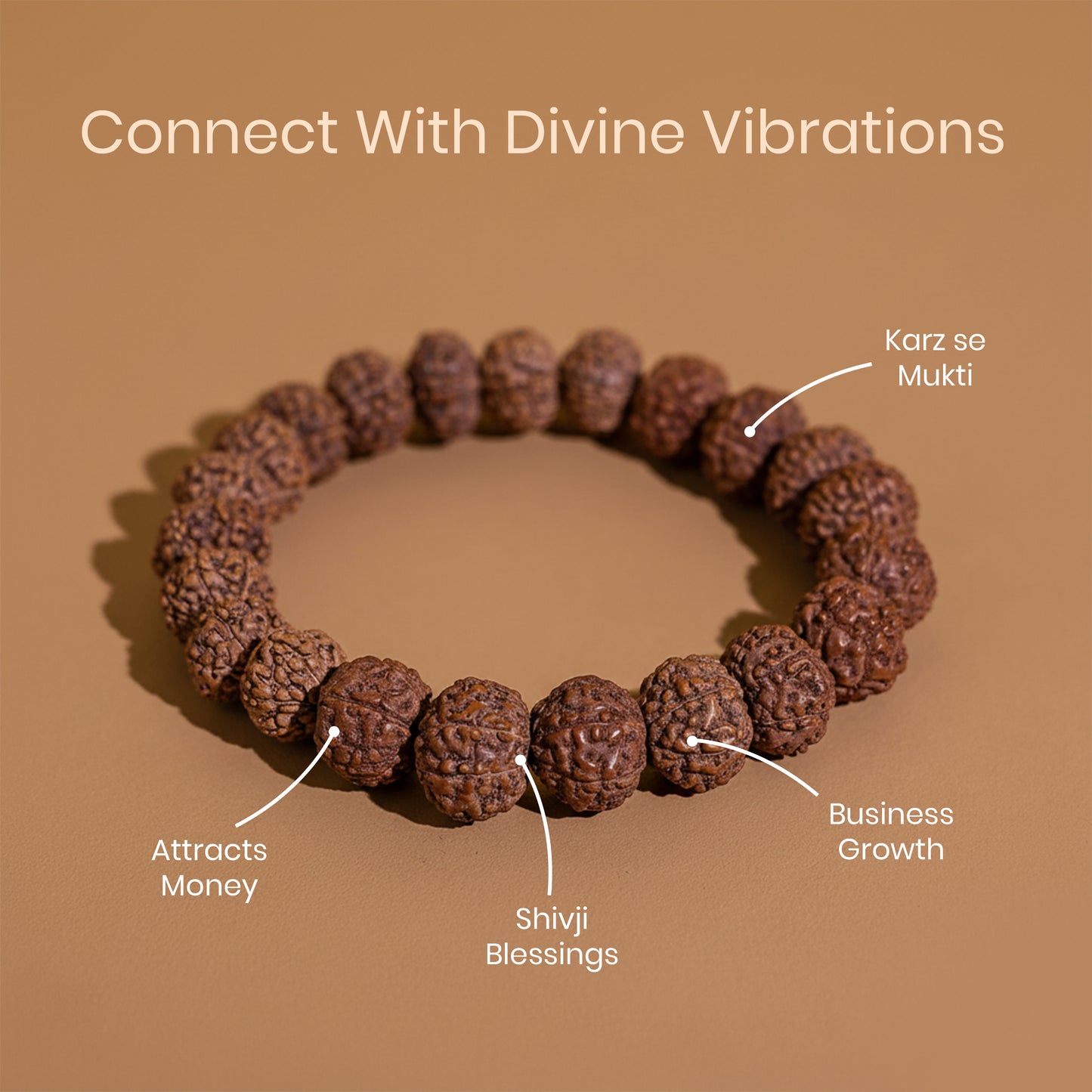 Siddh 7 Mukhi Rudraksh Bracelet