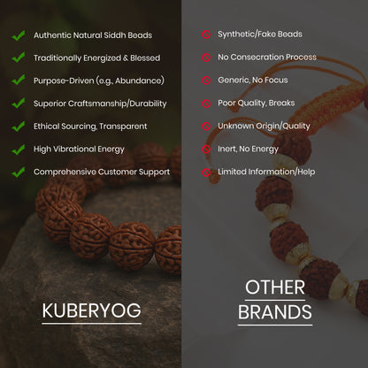 Siddh 7 Mukhi Rudraksh Bracelet