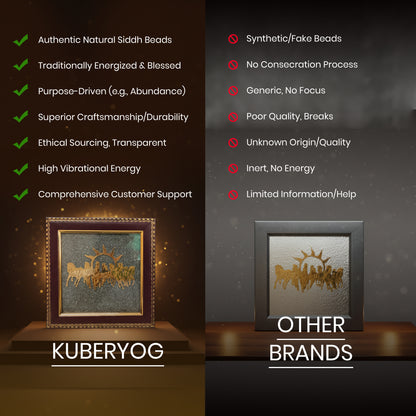 Siddh running horses on pyrite frame